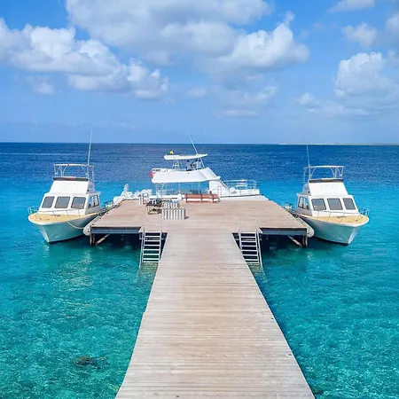 Divi Flamingo Beach Resort-2